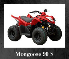 mongoose90s